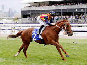 The Melbourne Mail : Flemington - 15th February 2020