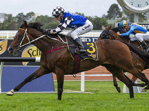 Red Cardinal winning the Schweppes Sky High Stakes