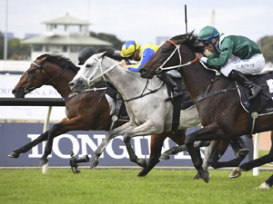 Can he get there!? No! But Exceedance rattled home at Rosehill. 