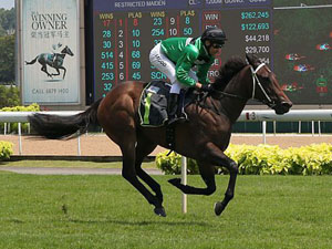 Toosbies winning the RESTRICTED MAIDEN