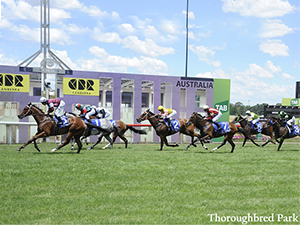 Racecourse : Canberra