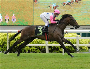 BOOMBA winning the JUPITER GOLD 2018 STAKES RESTRICTED MAIDEN