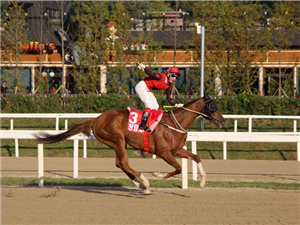 Superstar Cheongdam Dokki Lands Herald Business Hat-Trick 