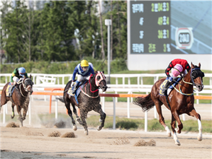Cheongdam Dokki Bids for third KRA Cup Mile – Horse By Horse Preview