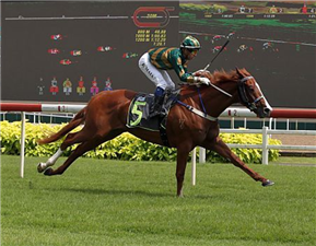CIRCUIT STAR winning the RESTRICTED MAIDEN