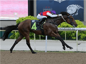 Excellent day out for Freedman