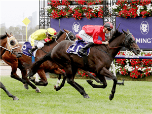 The Melbourne Mail: Flemington - 19th December 2020