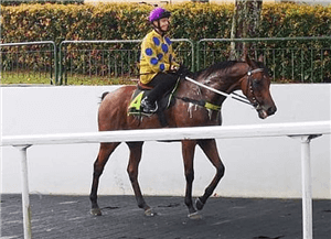 Moloney is new partner for Mr Clint