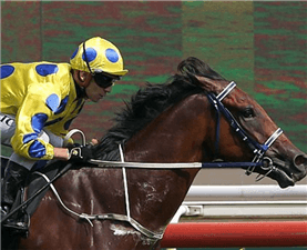 Mr Malek resumes with a bang