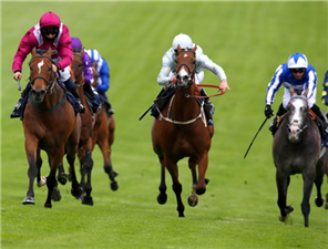 SAFE VOYAGE winning the Investec Surrey Stakes at Epsom in England.