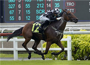 Commanding win may spell Stewards' Cup, Derby