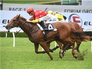 sky racing live stream online free
