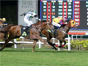 Another fruitful outing for Yaya Papaya