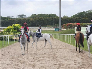 A track riding lesson at the Trotting Ring (Track 8) in session.