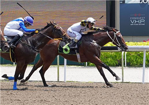 BOY XANDER winning the RESTRICTED MAIDEN