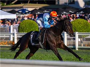Timeform Recap : 2021 Queensland Oaks | Racing and Sports
