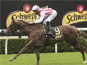 FOUR MOVES AHEAD winning the Schweppes Hcp