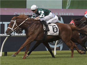 Hungry Heart can continue winning ways 