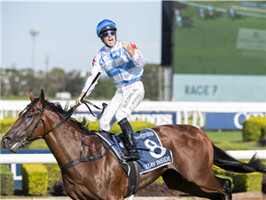 「家中宅」夺冠金拖鞋大赛