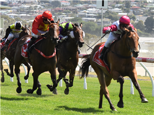 「土耳其战士」