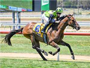 VAN ROY winning the Michael Lucas Accounting Maiden Plate in Warrnambool, Australia.