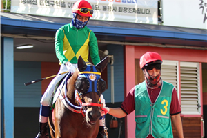Juvenile series kicks off Sunday at Seoul and Busan