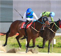 Raon The Spurt can avenge Filly Triple Crown losses in Jeju Cup
