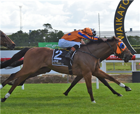 Prise De Fer seeking to defend Trentham crown