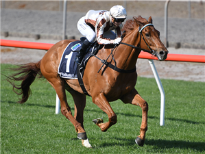 Bright summer tipped for Adam I Am