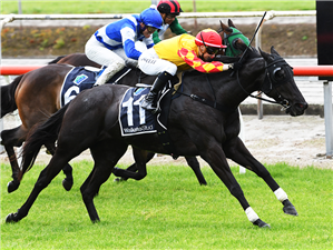 Well-bred mare flips the script