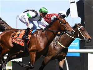 Bonecrusher run to give clearer picture