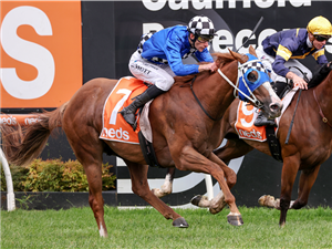 Bain On Rubi Project 