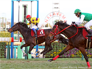 NORTH BRIDGE winning the American Jockey Club Cup at Nakayama in Japan.