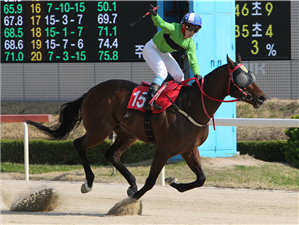Raon The Fighter crushes all in Busan Ilbo Sprint