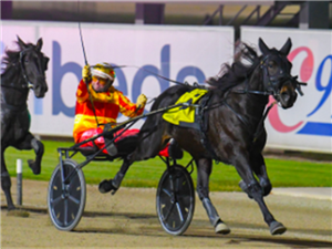 Today's Harness Racing Guide, Races, Race Cards, Results | Racing and ...