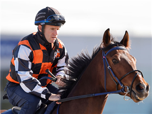 「斯巴克」参与试闸赛