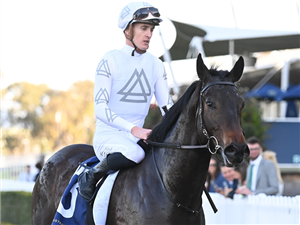 「自由心证」夺冠圣多明尼哥锦标赛