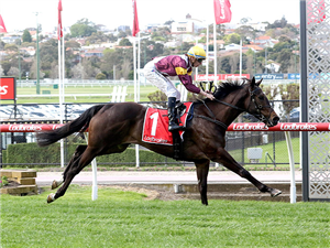 「蒸发消失」 「蒸发消失」