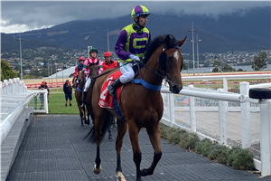 「看不透」夺冠凯文沙基埃尔威克锦标赛（Kevin Sharkie Elwick Stakes）