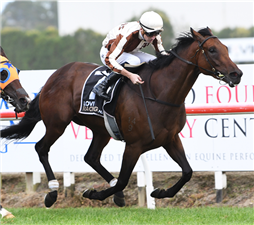 「灵机一到」将参与国家拍卖