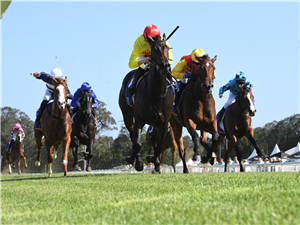 「欧乐」胜出神奇百万怀昂两岁马经典赛