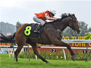 PACIFIC VICTORY winning the Dec 28 2024 Selangor Meeting Race 6 (1146)