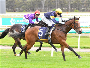 「军港口」夺冠本迪戈无胜绩三岁马盾赛