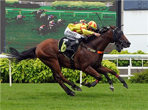 SABAH ACE winning the BORN TO FLY 2014 STAKES CLASS 3