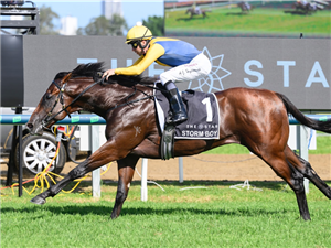 STORM BOY winning the $3M THE STAR GOLD COAST MAGIC MILLIONS 2YO CLASSIC - RESTRICTED LISTED at Gold Coast in Australia.