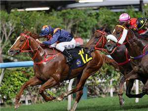 AMAZING KID winning the ALBATROSS HANDICAP