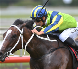 「阿尔达里奥」