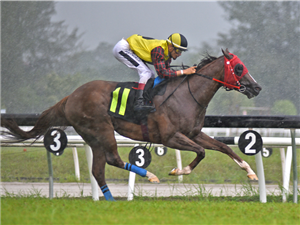 BABY TWINS winning the Feb 16 2025 Selangor Meeting Race 8 (108)