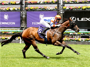 「霸尊丽」夺冠The Flemington Long Lunch大赛