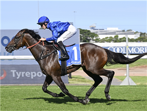 BROADSIDING winning the KIA ORA HOBARTVILLE STAKES at Rosehill in Australia.